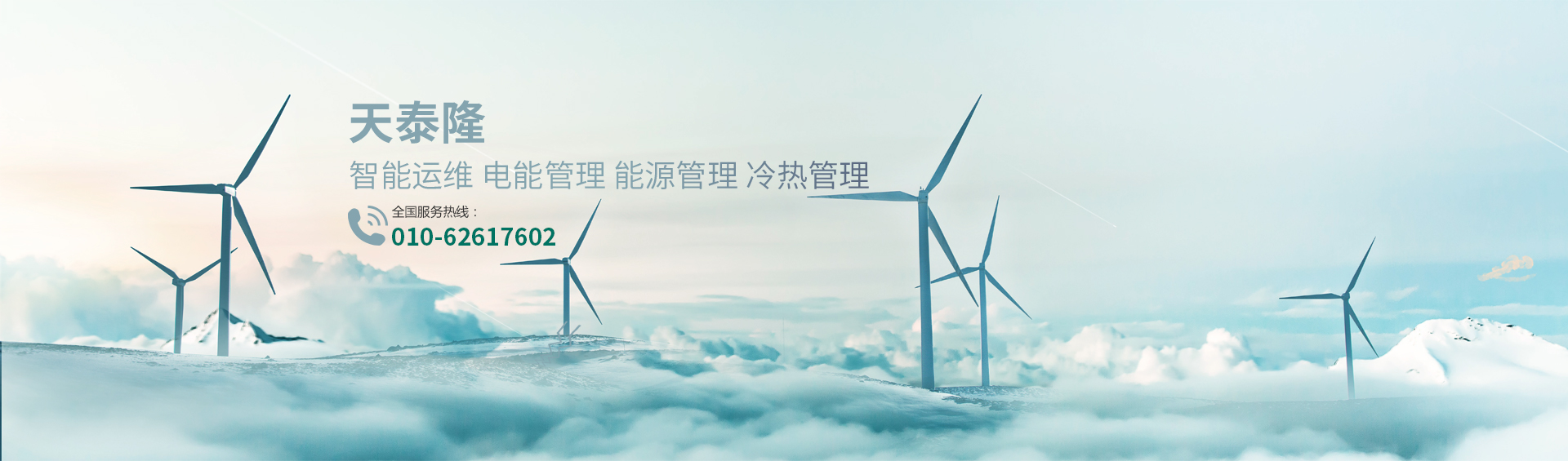 北京天泰隆科技有限公司_真空断路器VTT-12 